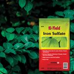 34340_Iron Sulfate 3.25 lb Bag image